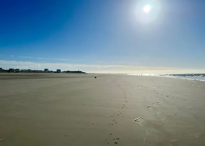 Le Paillette T2 400 M De La Plage Berck
